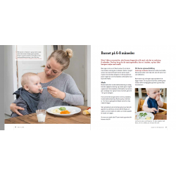 Mad til små - fra mælk til familiens mad (bog)