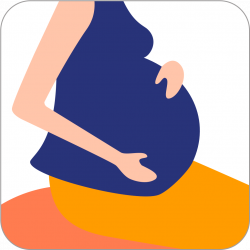 App: Gravid